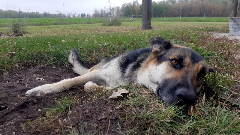 Comfortable by Denice Geverink